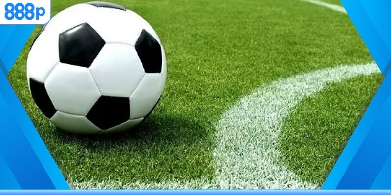 Dễ dàng cược tại nền tảng