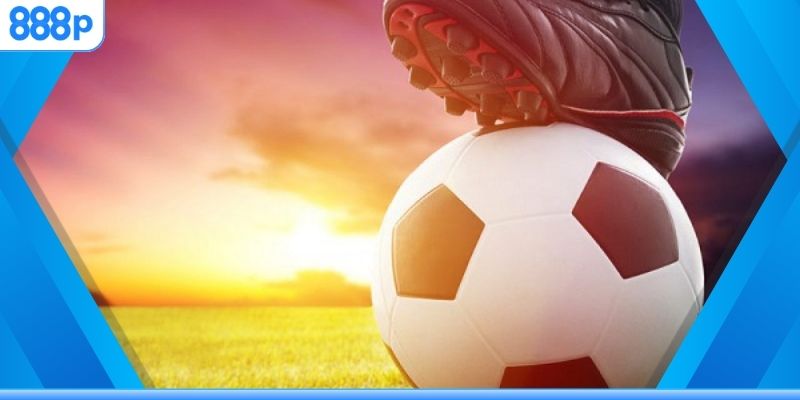 Hướng dẫn tân thủ cách tính tiền kèo châu Âu